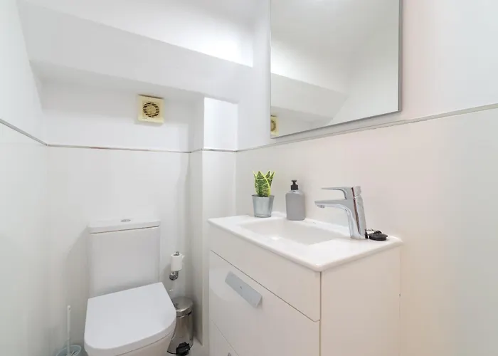 238 - Sofia By Now Ltd فيلة